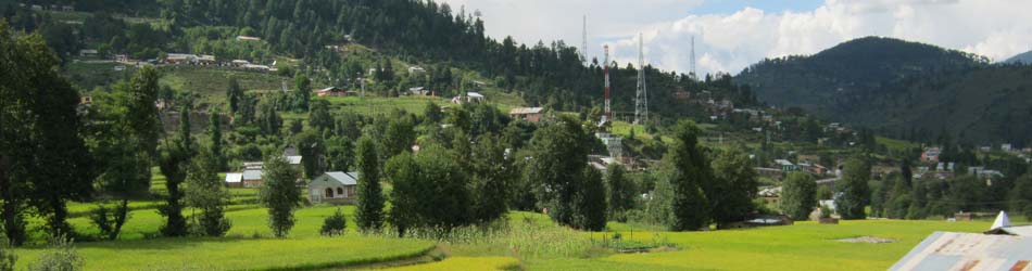 A View of Bhaderwah Town